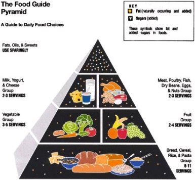 Food Manual Photo Nr. 34